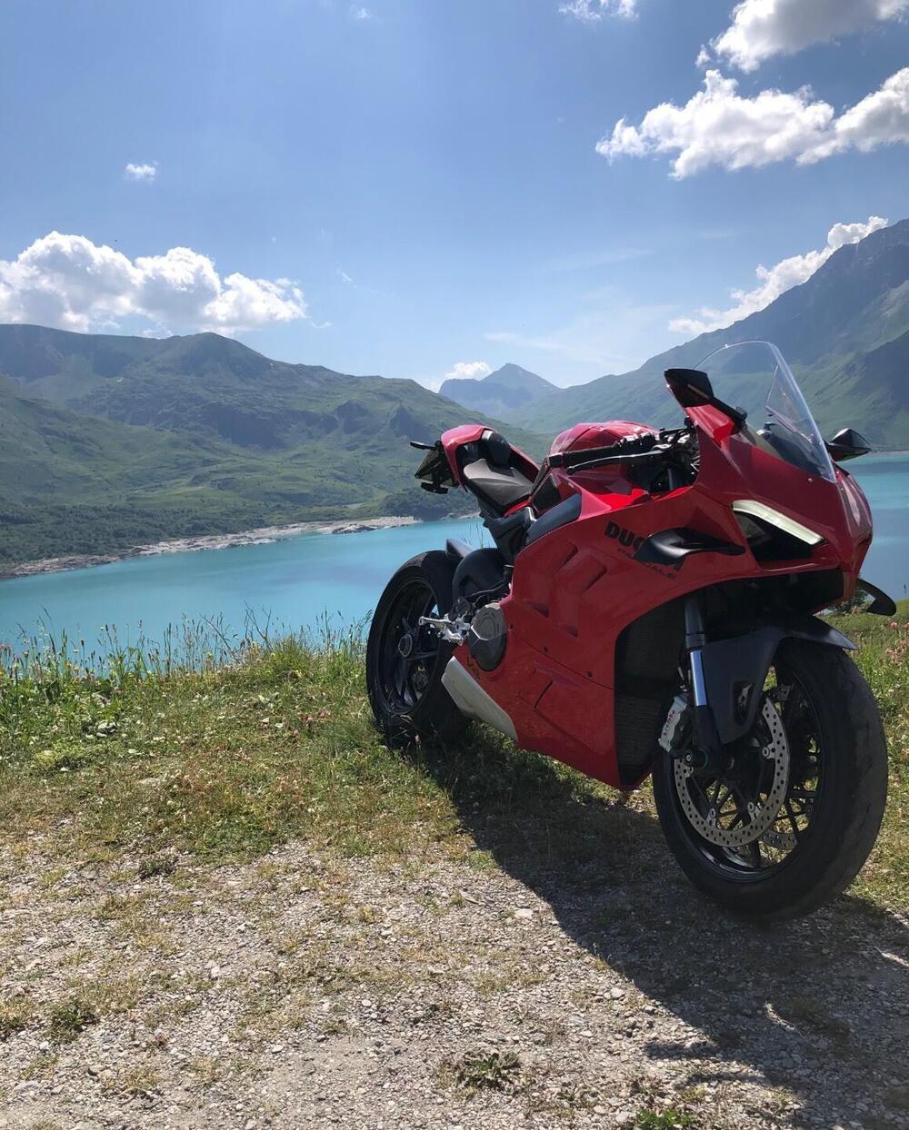 Ducati Panigale V4 (2022 - 24) (4)