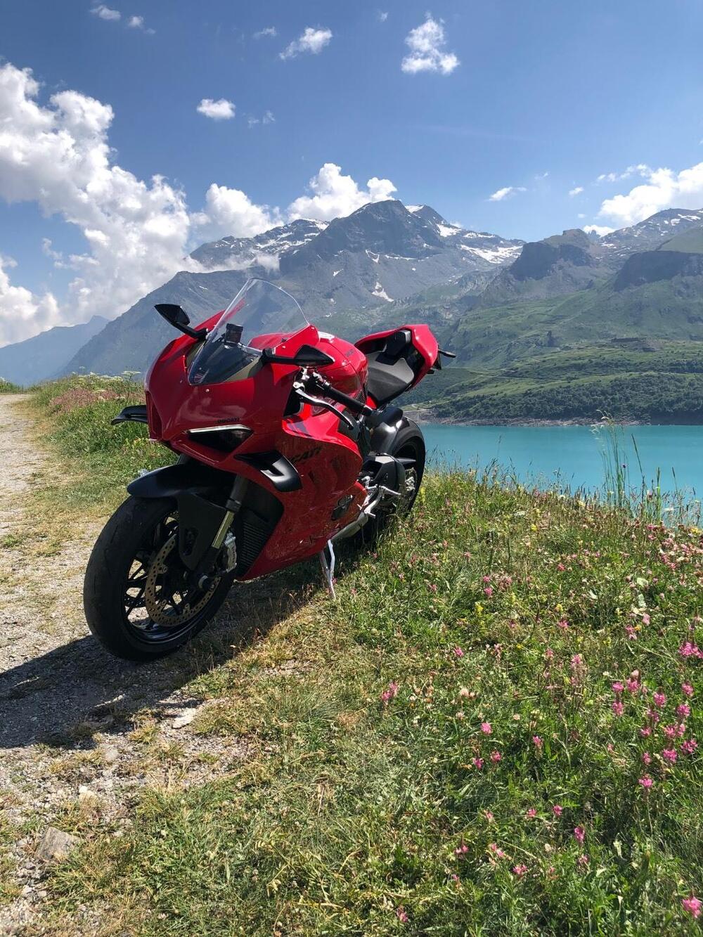 Ducati Panigale V4 (2022 - 24) (5)