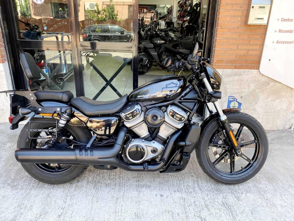 Harley-Davidson Nightster (2023 - 26)