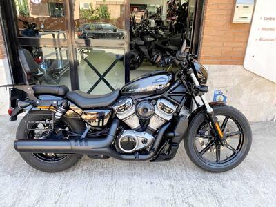 Harley-Davidson Nightster (2023 - 26) usata