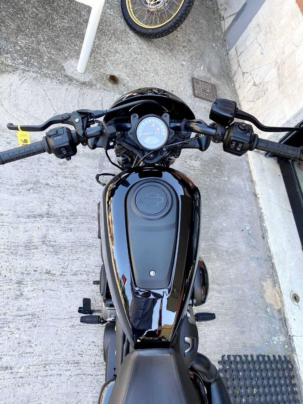 Harley-Davidson Nightster (2023 - 26) (10)