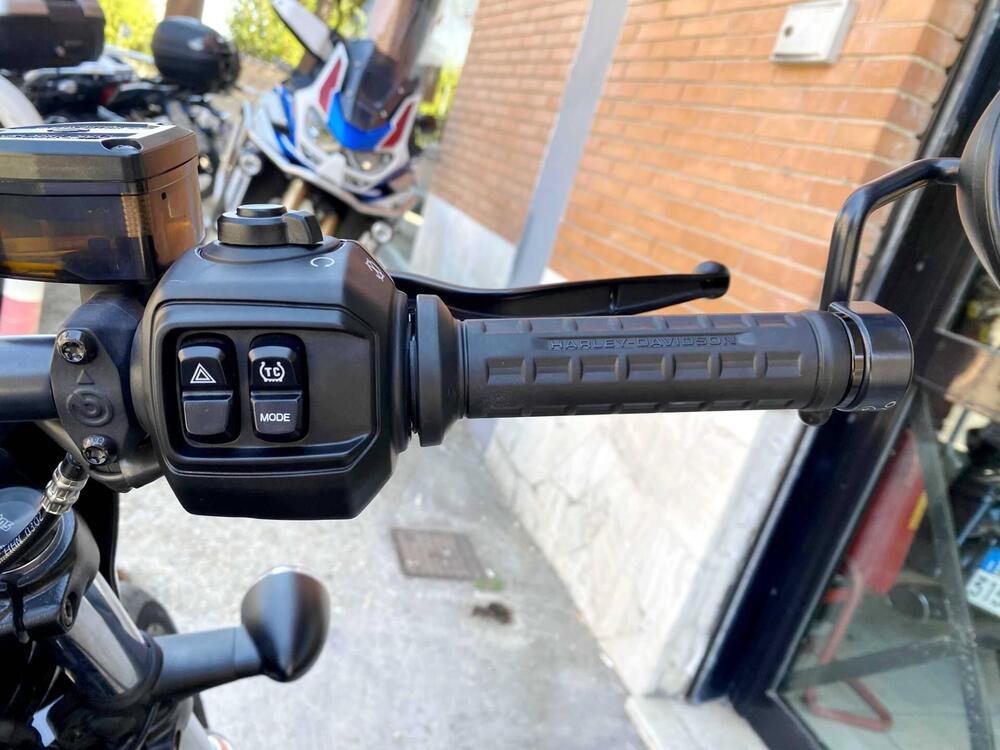 Harley-Davidson Nightster (2023 - 26) (13)