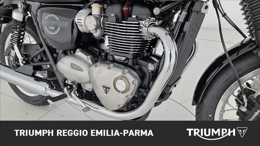 Triumph Bonneville T120 (2021 - 25) (19)
