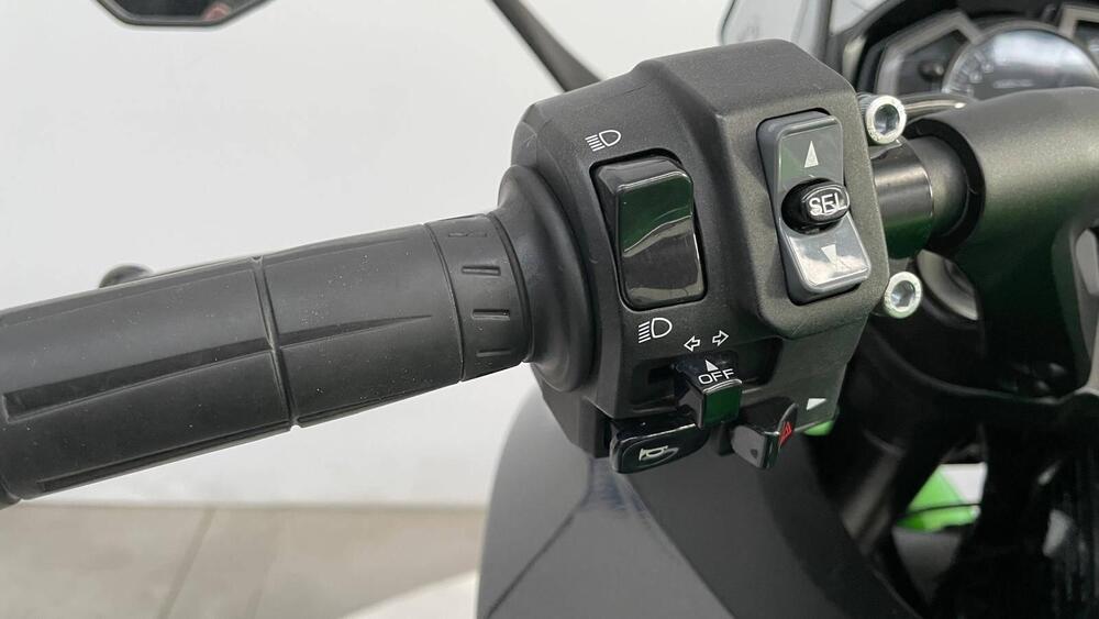 Kawasaki Z 1000 SX (2017 - 20) (14)