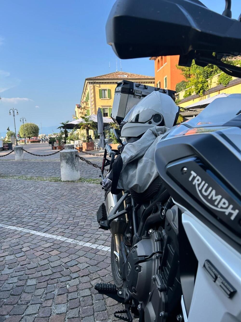 Triumph Tiger 1200 Alpine Edition (2020)