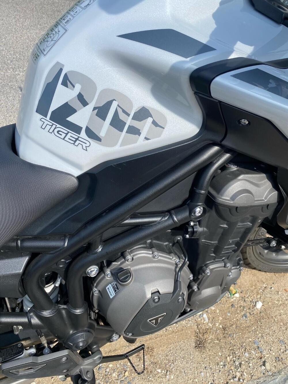 Triumph Tiger 1200 Alpine Edition (2020) (5)