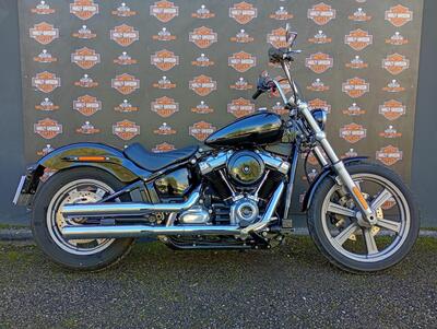 Harley-Davidson Softail Standard (2021 - 25) usata