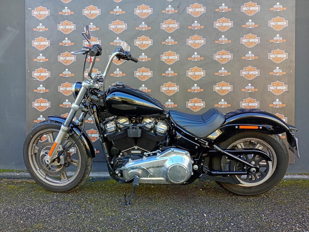 Harley-Davidson Softail Standard (2021 - 25) (2)