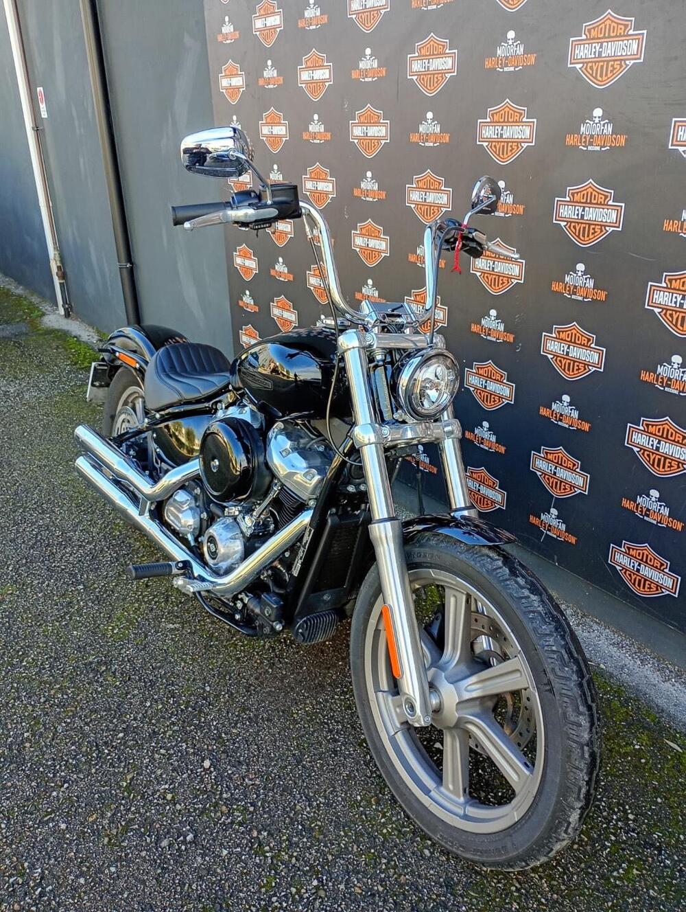 Harley-Davidson Softail Standard (2021 - 25) (4)