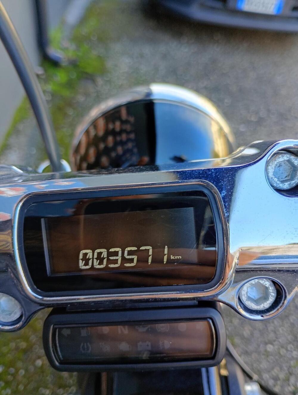 Harley-Davidson Softail Standard (2021 - 25) (5)