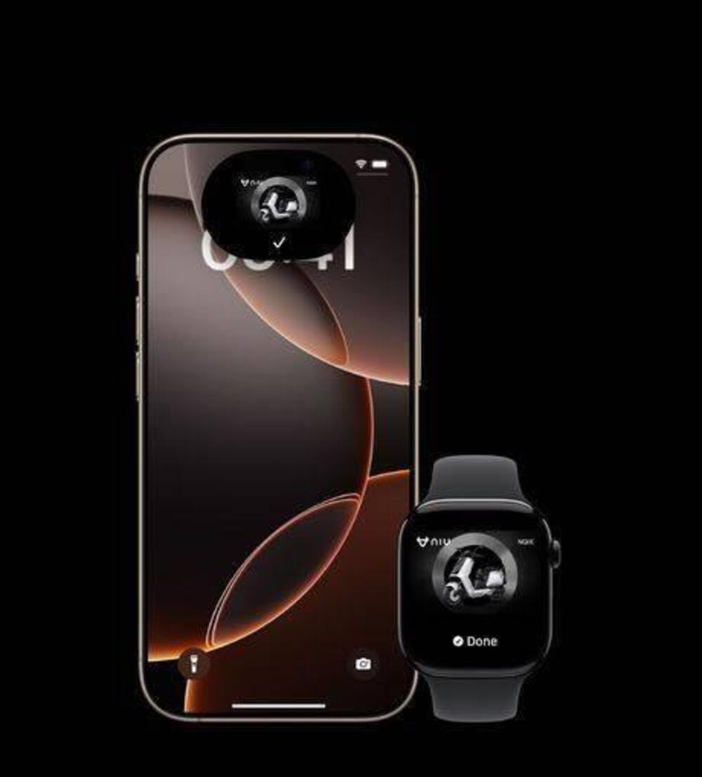 Niu NQiX 300 (2025 - 26) (18)