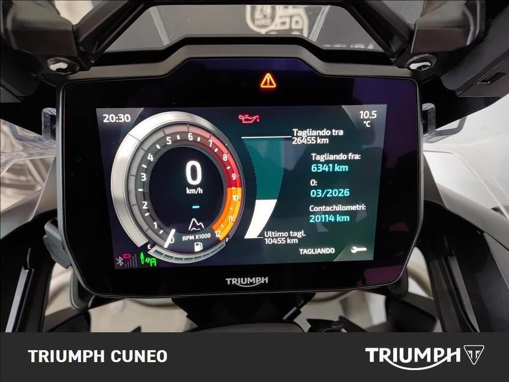 Triumph Tiger 1200 Rally Explorer (2022 - 23) (3)