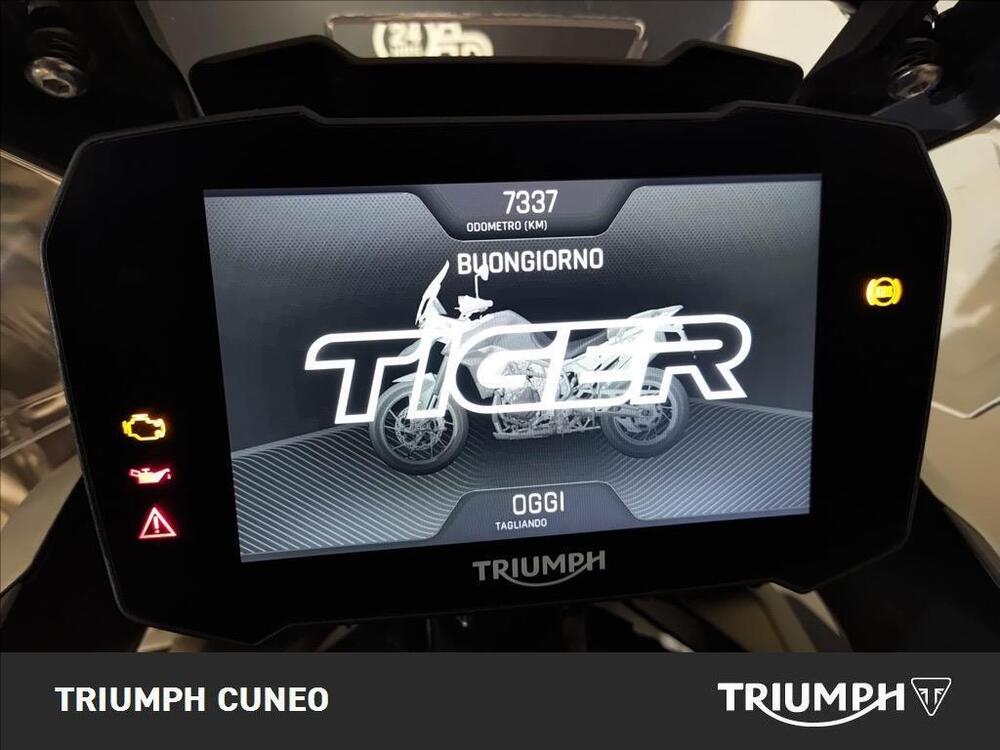 Triumph Tiger 900 Rally Pro (2020 - 23) (3)