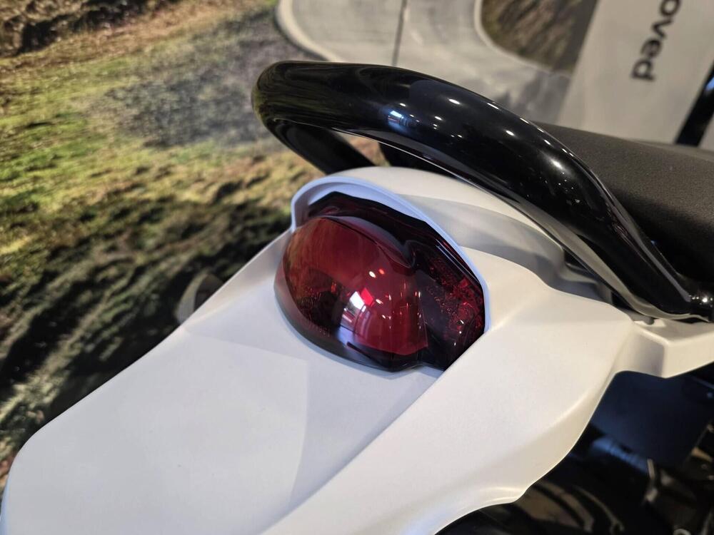 Ducati DesertX (2022 - 25) (11)