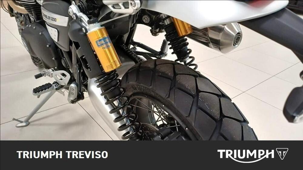 Triumph Scrambler 1200 XE (2026) (3)