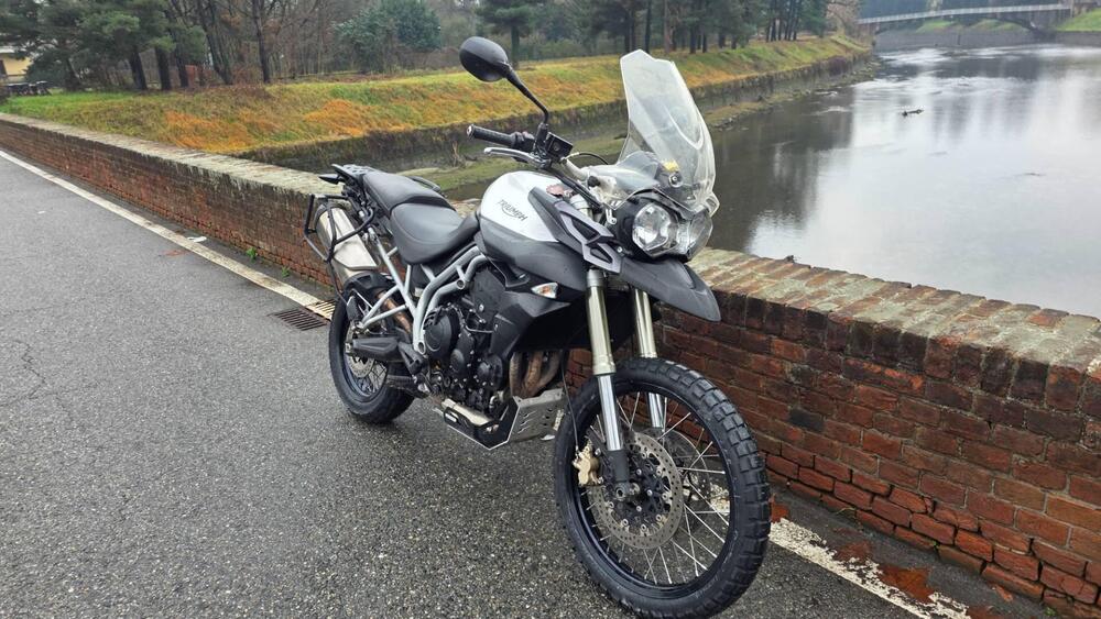 Triumph Tiger 800 XC (2011 - 12) (2)