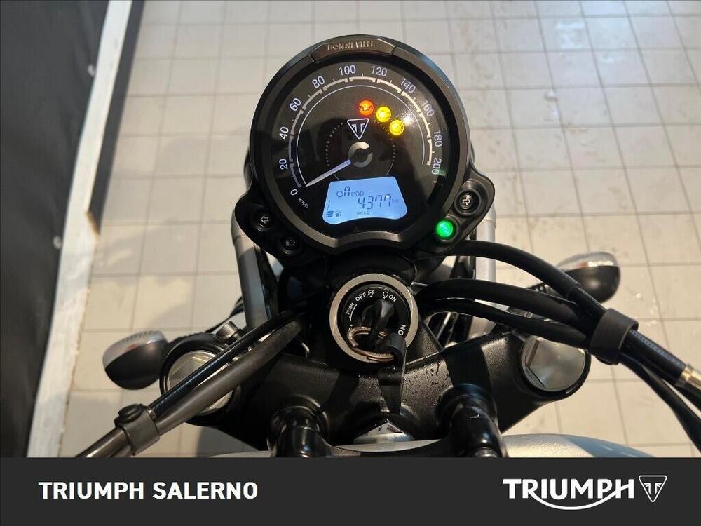 Triumph Scrambler 900 (2023 - 25) (10)