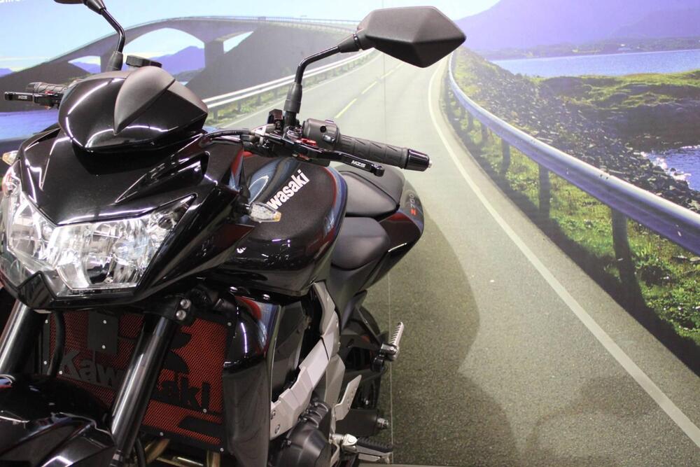 Kawasaki Z 750 (2007 - 14) (11)