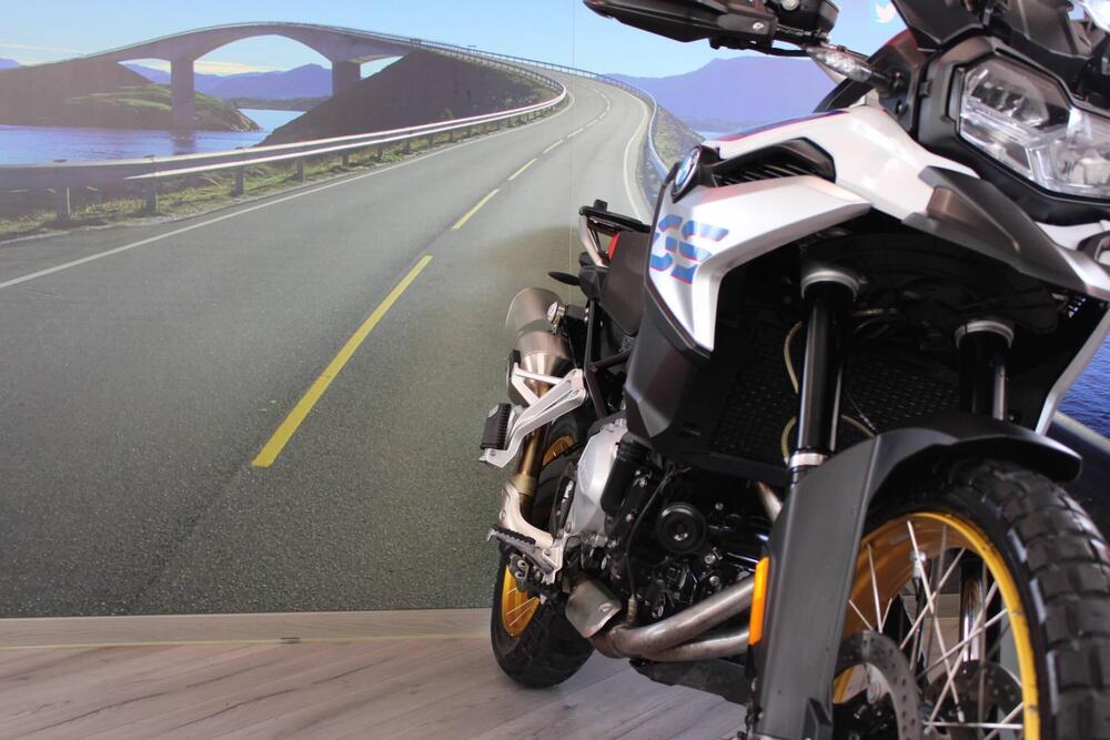 Bmw F 850 GS (2018 - 20) (10)