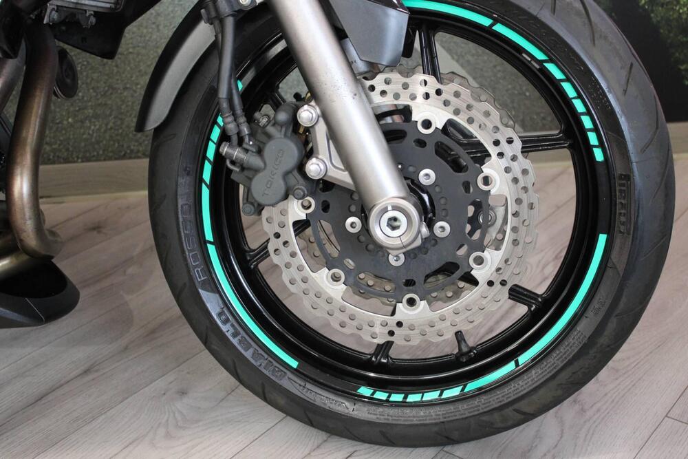 Kawasaki ER-6N (2009 - 11) (13)