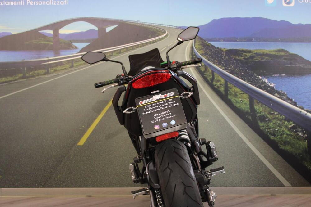 Kawasaki ER-6N (2009 - 11) (16)