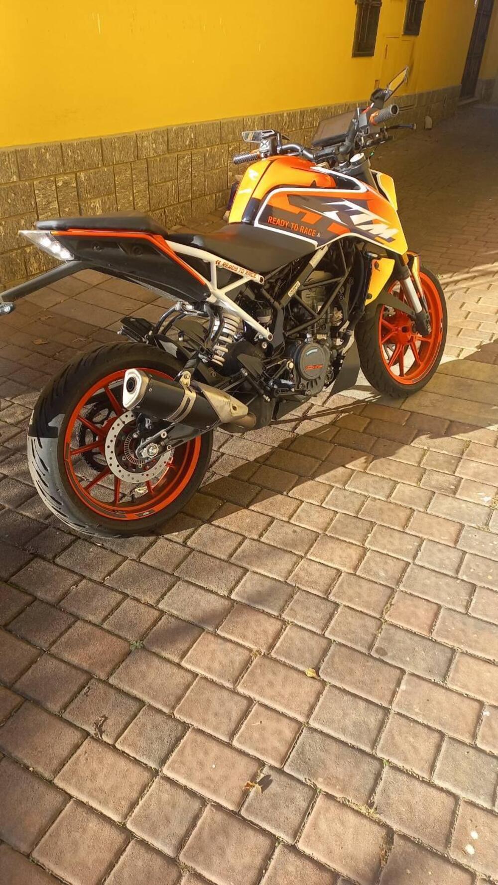 KTM 125 Duke (2024 - 25) (3)