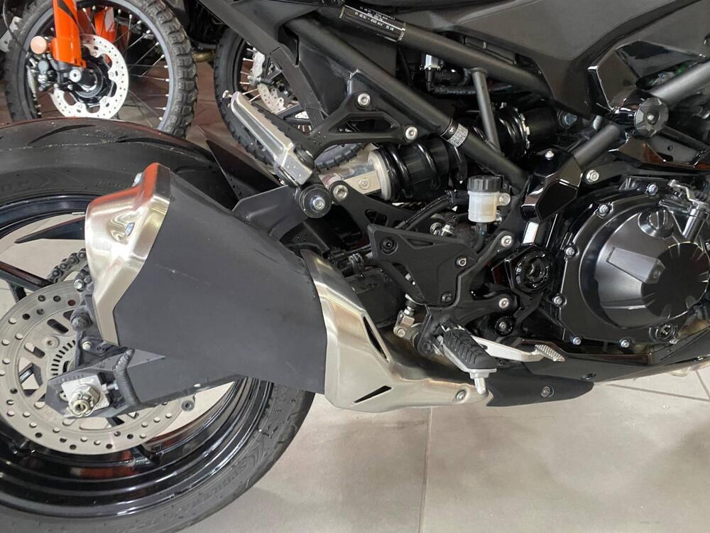 Kawasaki Z 900 (2025 - 26) (8)