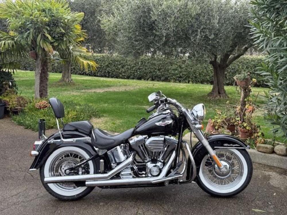 Harley-Davidson 1584 Deluxe (2007 - 08) - FLSTN (2)