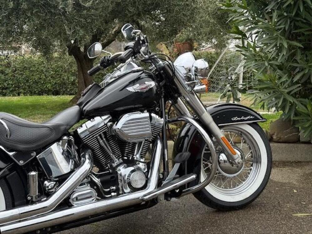 Harley-Davidson 1584 Deluxe (2007 - 08) - FLSTN (3)