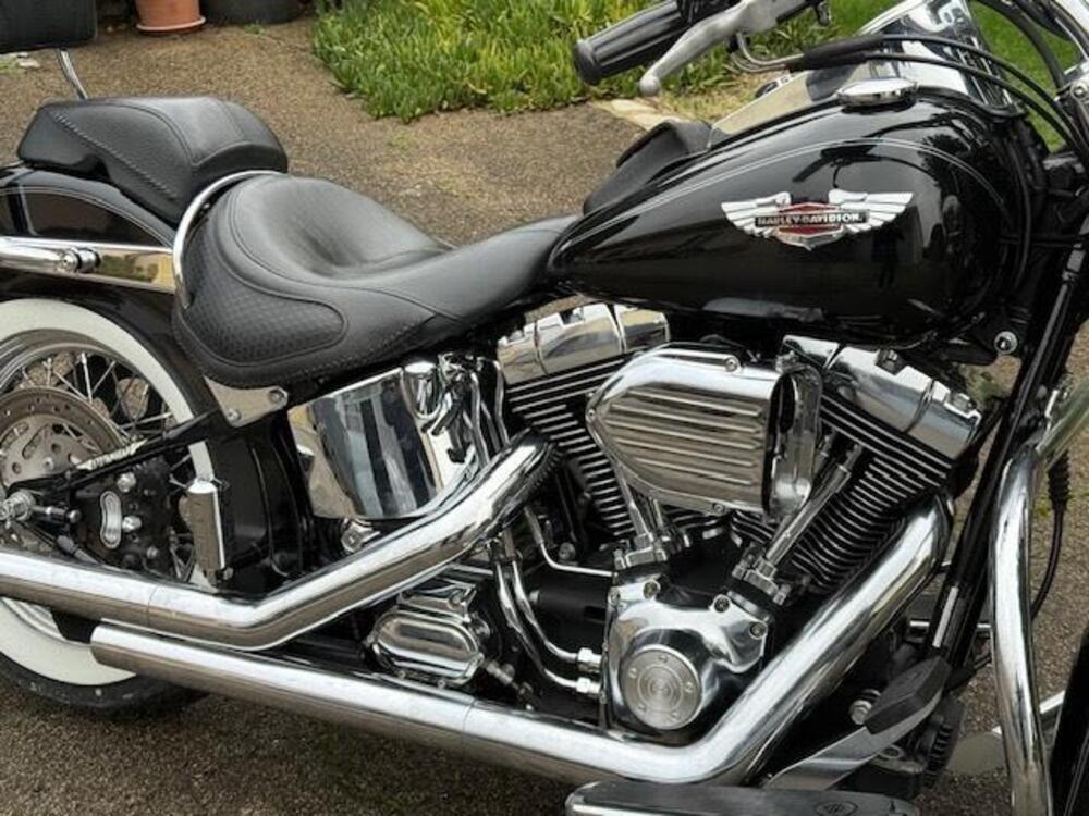 Harley-Davidson 1584 Deluxe (2007 - 08) - FLSTN (5)