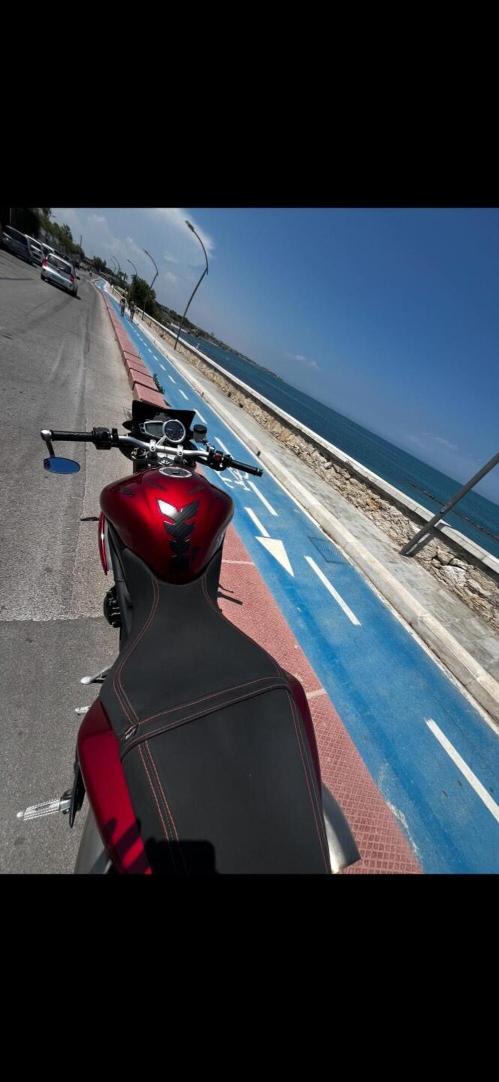 Triumph Speed Triple 1050 (2011 - 13) (3)