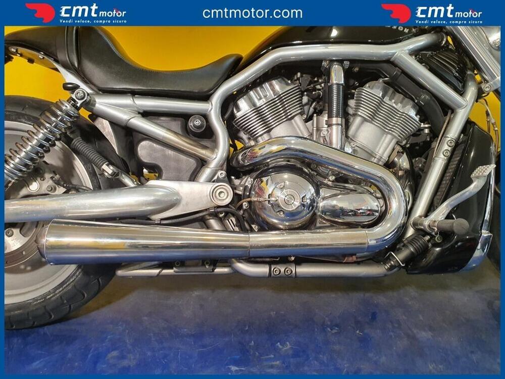 Harley-Davidson 1130 V-Rod (2002 - 05) - VRSCA (6)