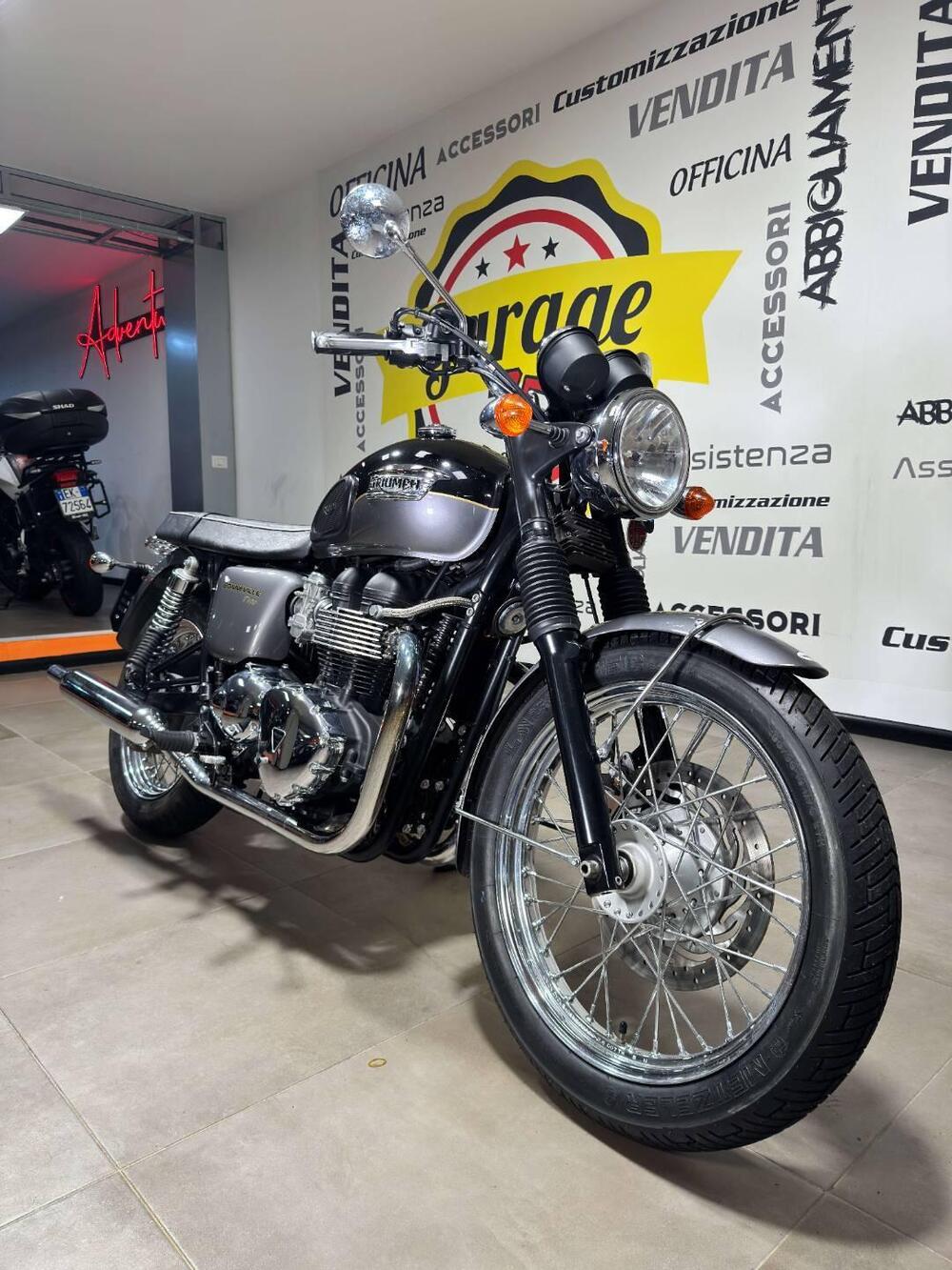 Triumph Bonneville T100 (2008 - 16) (2)