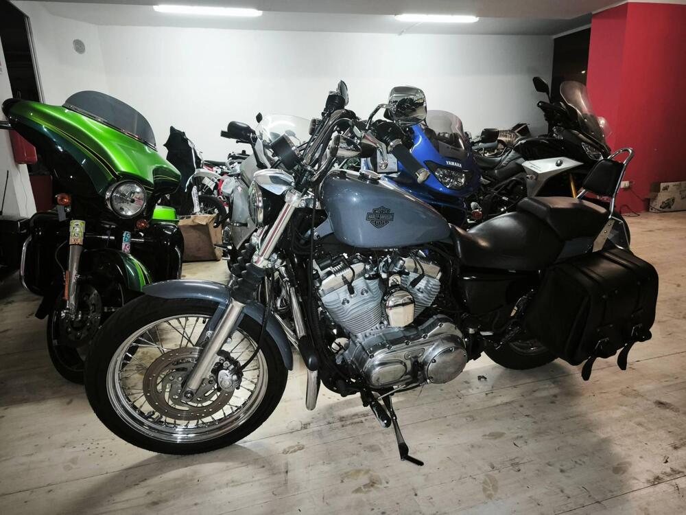 Harley-Davidson 883 (2006 - 07) - XL (2)