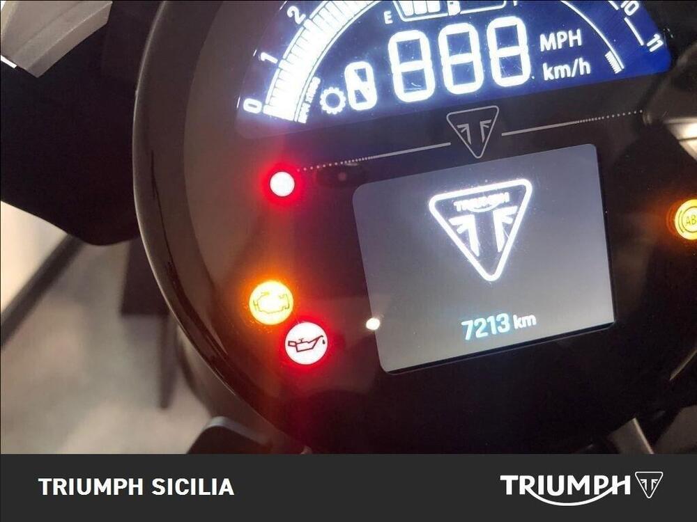 Triumph Trident 660 Triple Tribute Edition (2024) (14)