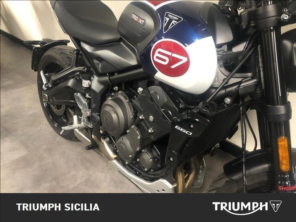 Triumph Trident 660 Triple Tribute Edition (2024) (8)