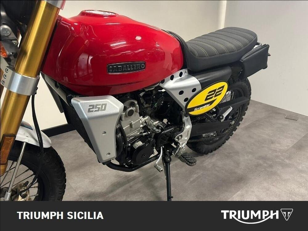 Fantic Motor Caballero 250 Scrambler 4T (2018 - 21) (7)