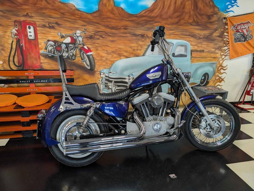 Harley-Davidson 1200 Roadster (2002 - 05) - XL 1200R (2)