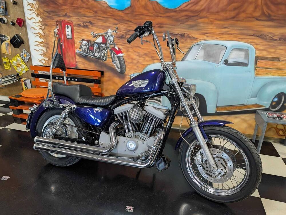 Harley-Davidson 1200 Roadster (2002 - 05) - XL 1200R (3)