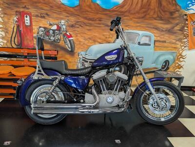 Harley-Davidson 1200 Roadster (2002 - 05) - XL 1200R usata