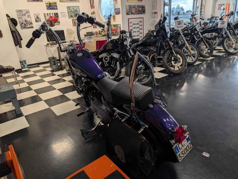 Harley-Davidson 1200 Roadster (2002 - 05) - XL 1200R (6)