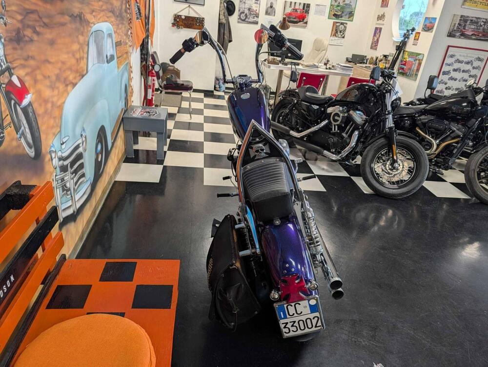 Harley-Davidson 1200 Roadster (2002 - 05) - XL 1200R (7)