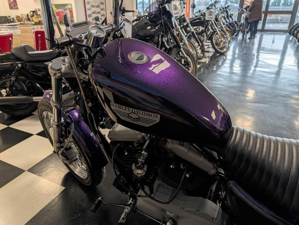 Harley-Davidson 1200 Roadster (2002 - 05) - XL 1200R (8)