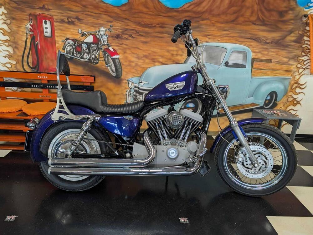 Harley-Davidson 1200 Roadster (2002 - 05) - XL 1200R (9)