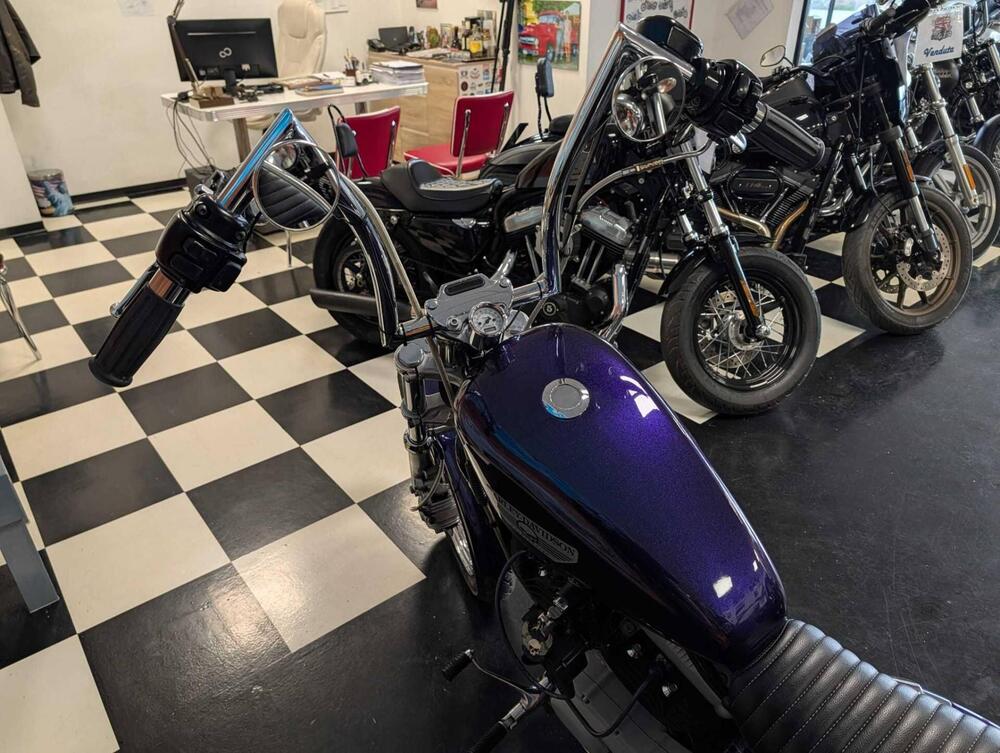 Harley-Davidson 1200 Roadster (2002 - 05) - XL 1200R (11)