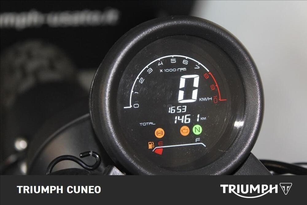 Archive Motorcycle AM 70 250 Cafe Racer (2022 - 24) (7)