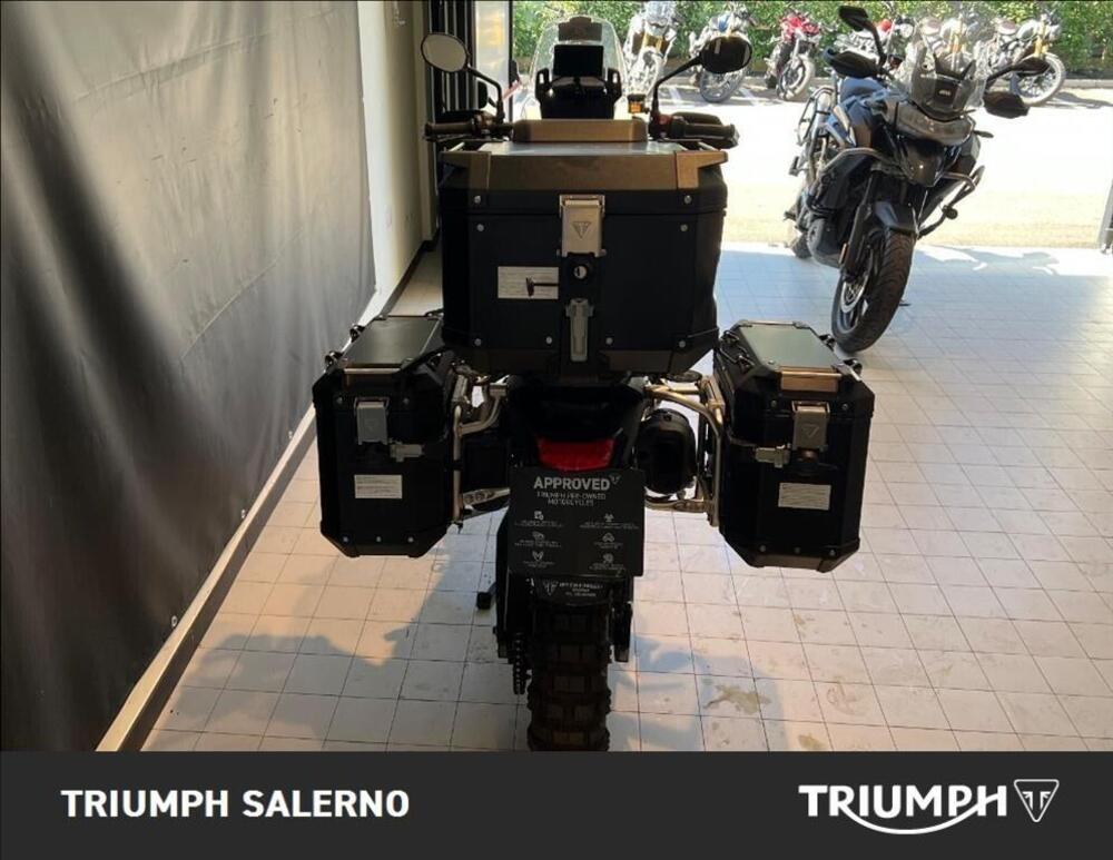 Triumph Tiger 900 Rally Pro (2020 - 23) (6)
