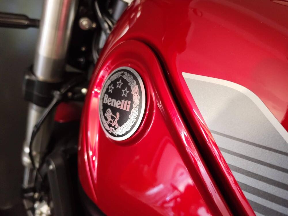 Benelli Leoncino 500 (2021 - 25) (12)