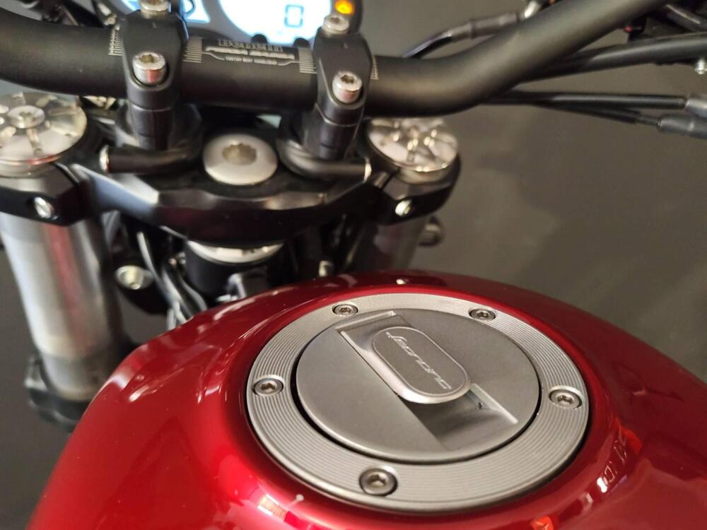 Benelli Leoncino 500 (2021 - 25) (14)