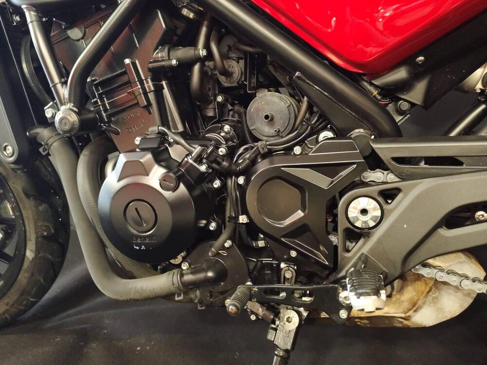 Benelli Leoncino 500 (2021 - 25) (16)